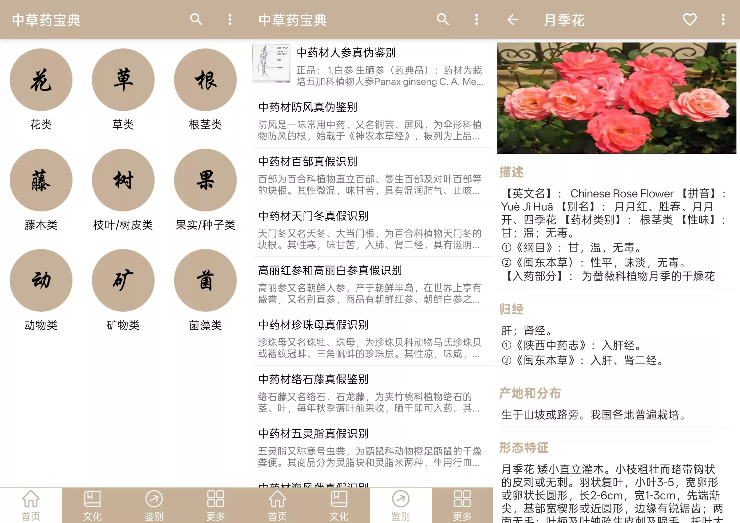 中草药宝典