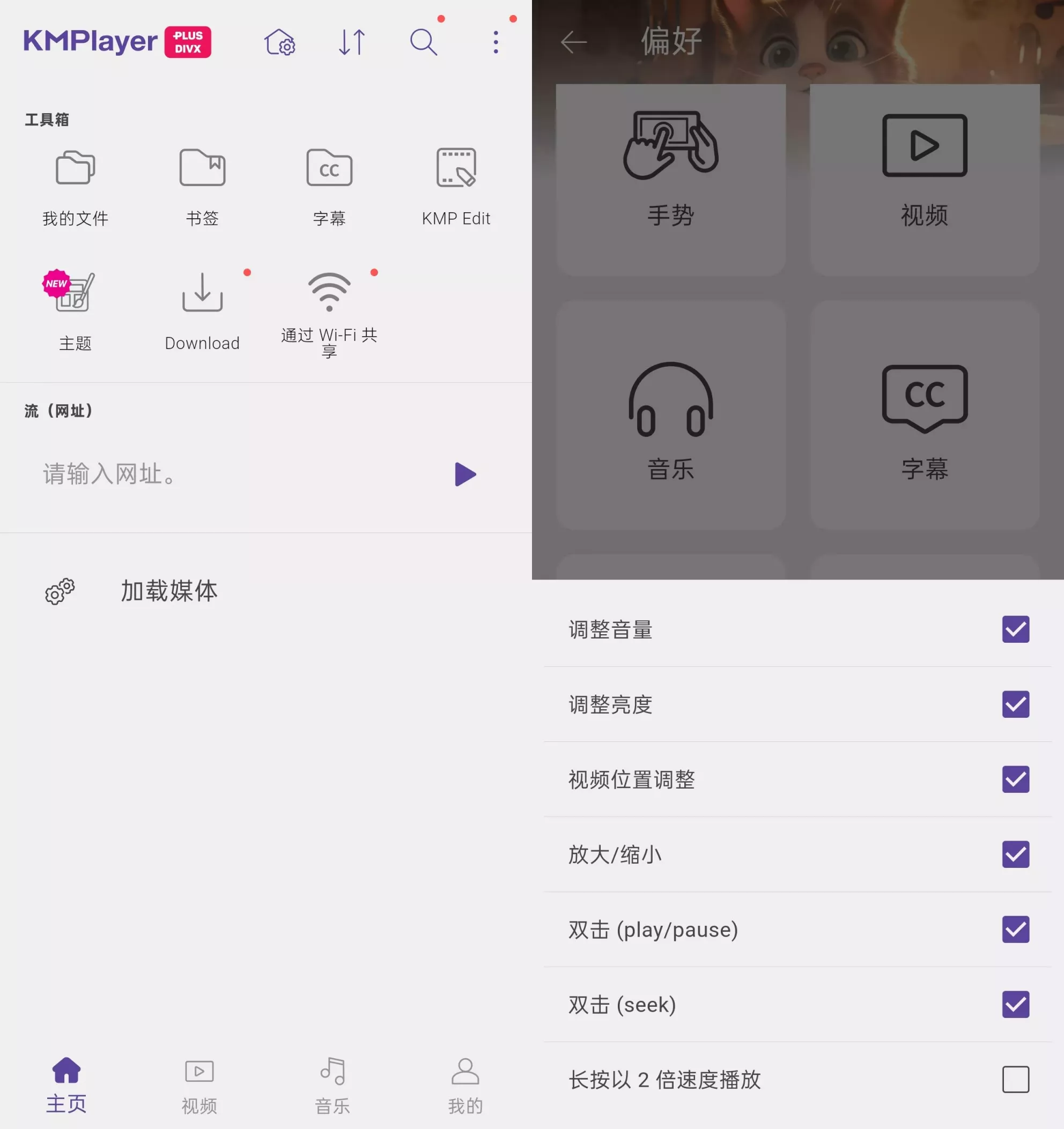 KMPlayer Plus(Divx)