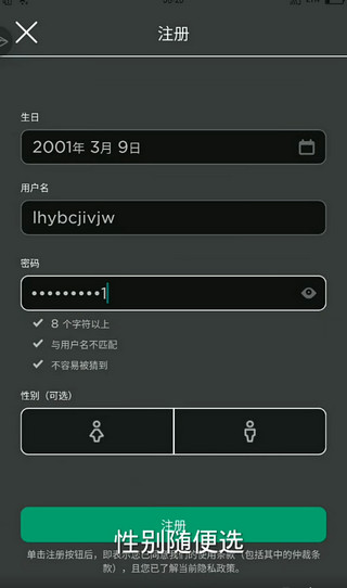 罗布乐思游戏手机版