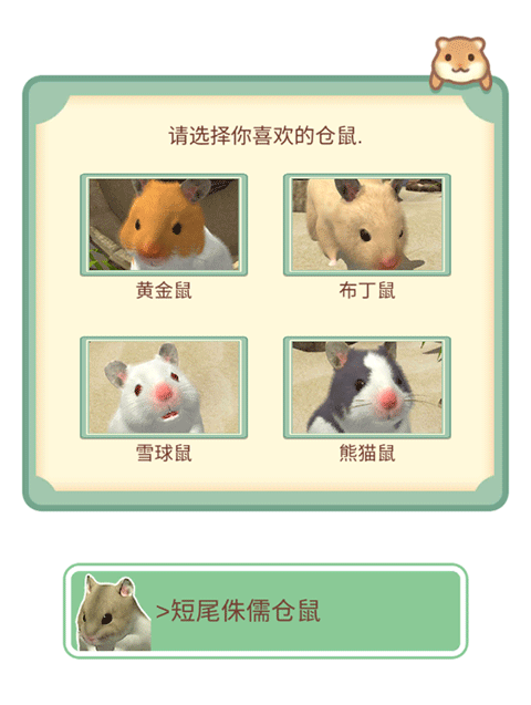 我的仓鼠游戏
