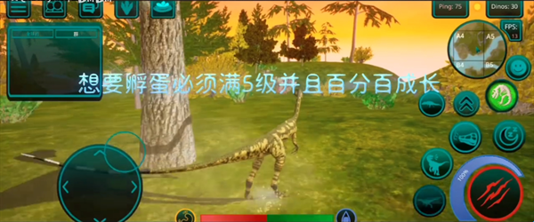 诅咒之岛pojie版最新版