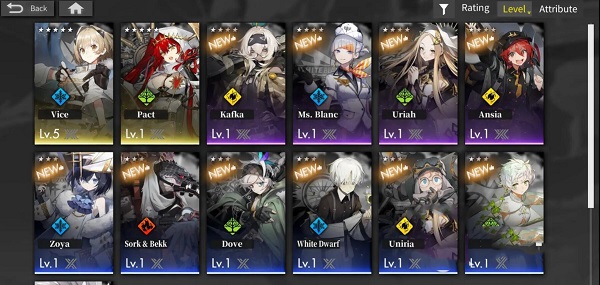 白夜极光国际服最新版