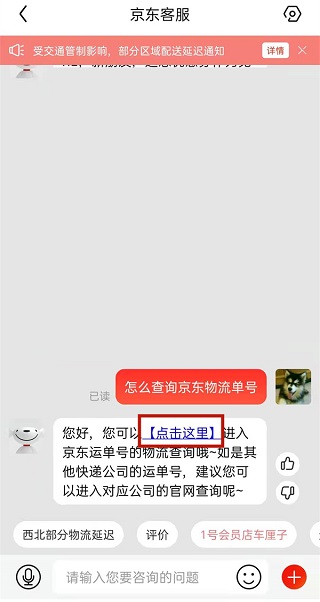 京东谷歌play版
