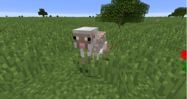 minecraft国际版免费