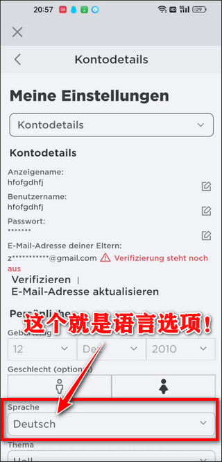 罗布乐思游戏手机版