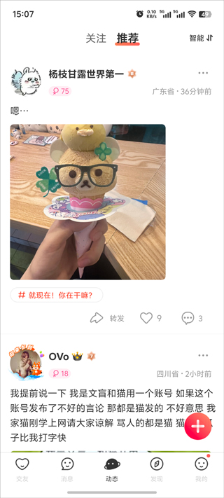 nico app